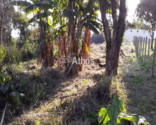 Imagem 6 de 9 de Terreno A Venda No Centro Em Piracaia Sp - Tr03003 - 70570534