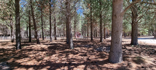 Lote En Venta En San Martin De Los Andes, Patagonia, Argentina