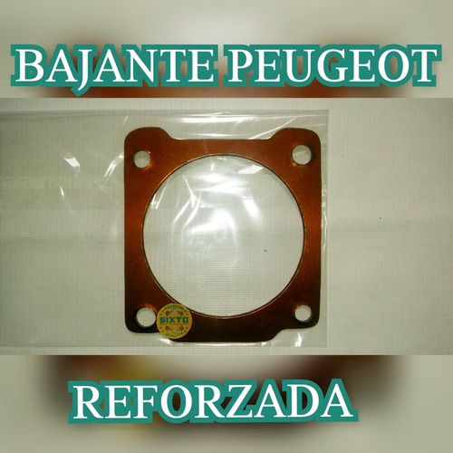 Empacadura Bajante Peugeot 206/207/307