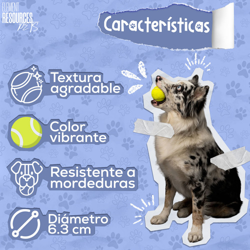 Pelota Tenis Element Resources Para Perro Paquete 3 Piezas Resistentes Color Amarillo