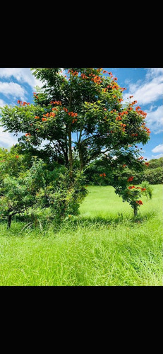 Imagem 10 de 14 de C09- Vende-se Terreno De 10 Mil Metros Em Igaratá
