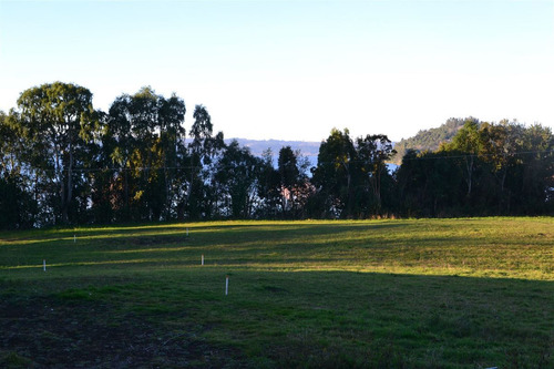 Sitio En Venta En Puerto Octay