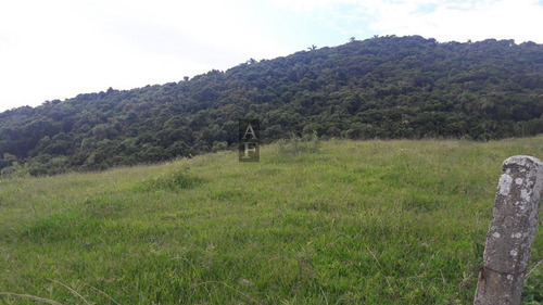 Terreno Lote Para Venda Em Praia Da Vigia Garopaba-sc - Tv749