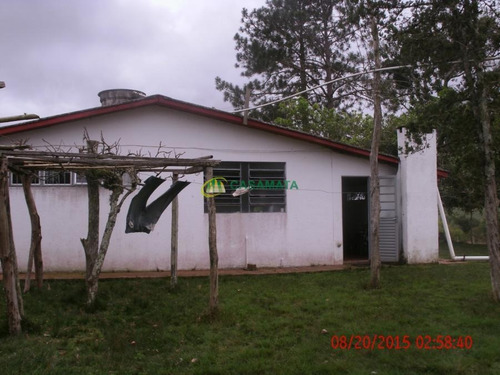Rural 2 Dormitórios - Zona Rural, Santa Maria / Rio Grande Do Sul - 10087