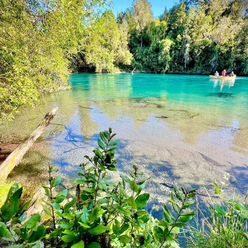 Parcelas A 2 Minutos Del Lago Rupanco, Acceso A Rio