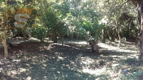 Imagem 3 de 3 de Terreno Em Vila Aurea - Poá, Sp - 3720