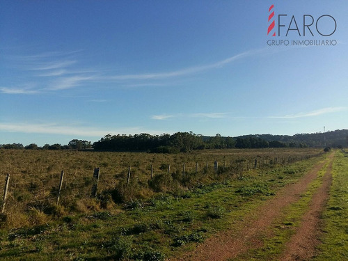 Imagen 2 de 9 de Chacra 10 Has En Venta En Lapataia - Punta Ballena La Pataia