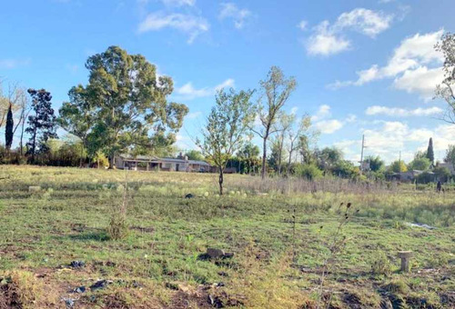 Lote En Venta En Guernica
