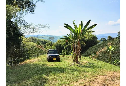 Lotes En Venta Desde $60.000.000 En Palestina Caldas | Venta Lotes