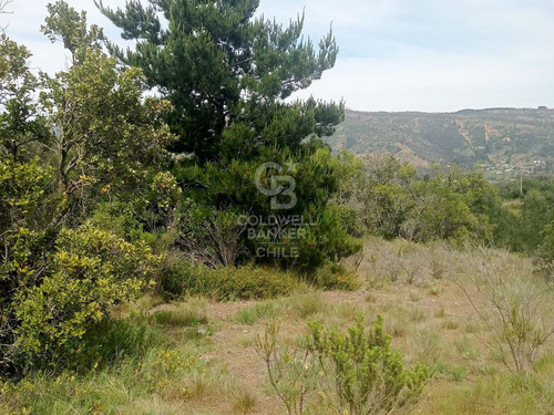 Parcela En Condominio Con Laguna Las Dichas