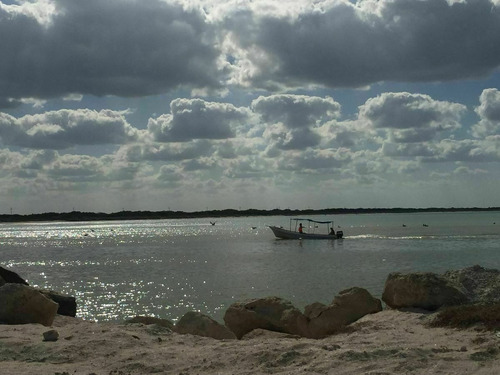 Imagen 1 de 13 de Terreno En Venta Playa Sisal Pueblo Mágico