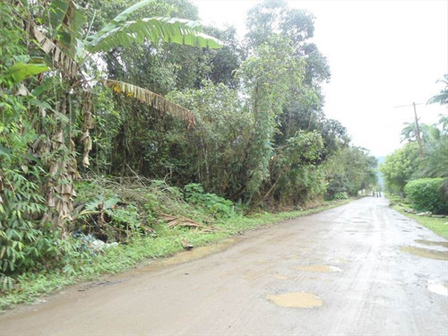Imagem 2 de 6 de Terreno - Venda - Aguapeu - Itanhaem - Ita2591