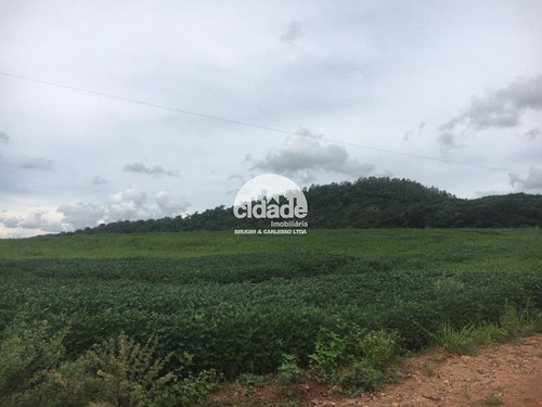 Imagem 4 de 8 de Terreno À Venda, Santa Maria - Santa Tereza Do Oeste/pr - 11432