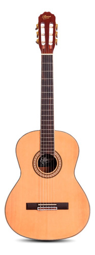 Guitarra Ramallo Proto8 - Tronador 06