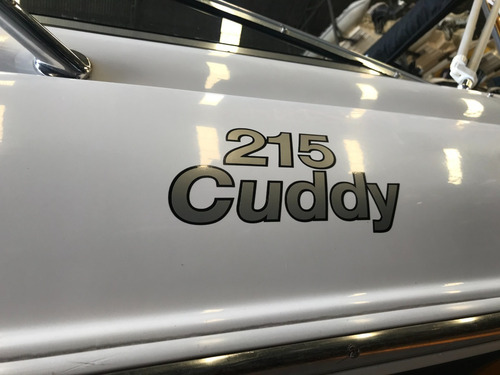 Lancha Cuddy Canestrari 215 Con Volvo 225 Hp Año 2013