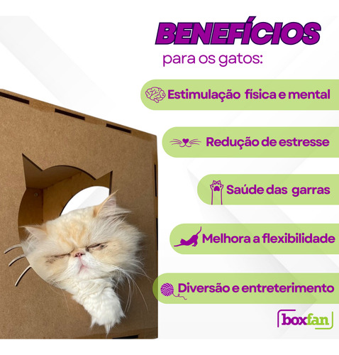 Kit Brinquedo Para Gatos 8 Peças Playground Paquinho Suspenso de Parede Gatificação Completa Degrau Prateleira Ponte e Toca