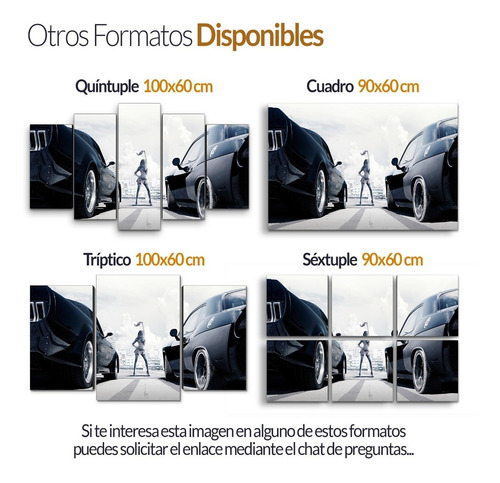 Cuadro Decorativo Moderno Rápidos Y Fuiriosos Jd-0617 G Tríptico 100x60 Cm Sin Marco