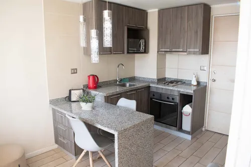 Arriendo Depto Amoblado 1 Habitación - Morandé (3485)