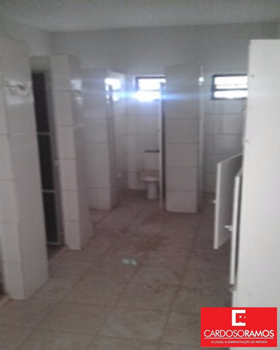 Imagem 11 de 14 de Galpao - Gl00037 - 3309870