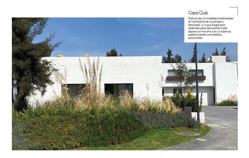 Reserva del sur