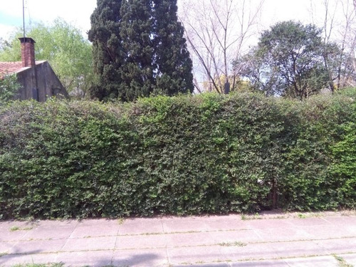 Imagen 3 de 3 de Terreno En Venta En San Antonio De Padua