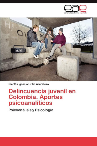 Libro:delincuencia Juvenil En Colombia. Aportes Psicoanalíti