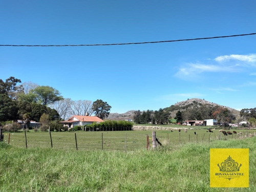 Imagen 5 de 8 de Vendo Excepcionales Lotes En Desvío Aguirre! Excelente Vista Y Tranquilidad A Minutos De Tandil