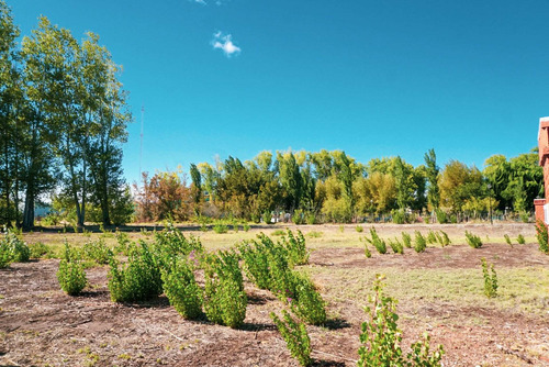 Imagen 7 de 26 de Terreno 1.000 M2 - B° Rincon De Natalia - Plottier