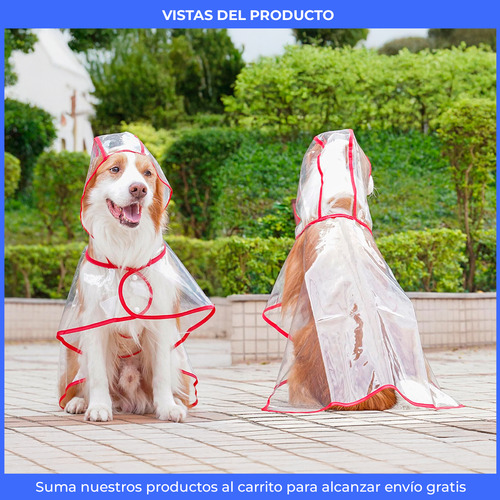 Piloto Perro Mascota Transparente Lluvia Talles Capucha Negro Xxl