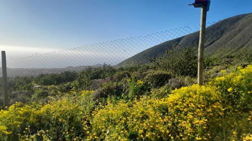 Parcela De 5006 Mt2 En Arrayán Costero, La Serena