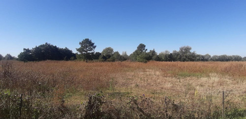 Imagen 9 de 9 de Campo 7ha - Apto Loteo - Con Escritura - Alta Gracia