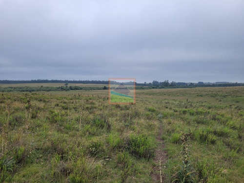 Imagen 13 de 30 de Campo 109 Hectáreas Garzón/rocha