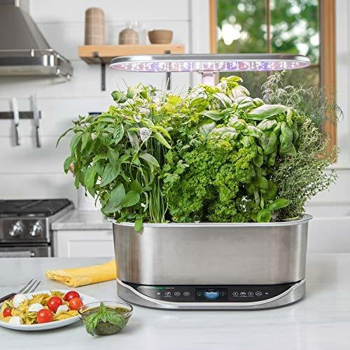Imagen 4 de 4 de Kit Aerogarden Grow Anything Seed Pod (9-pod)
