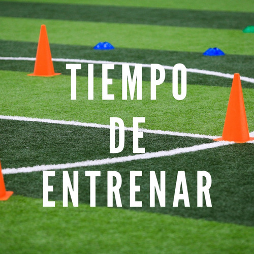 Imagen 6 de 9 de Set Escalera Entrenamiento + 12 Conos + 12 Platos Crazy Fit