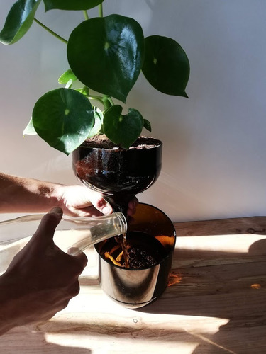 Imagen 7 de 9 de Cuchara Little Plant 22, Maceta Autorregante