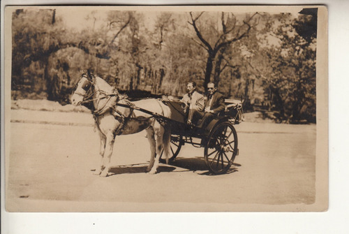 Antigua Postal Fotografia De Sulky Con Caballo En Uruguay 