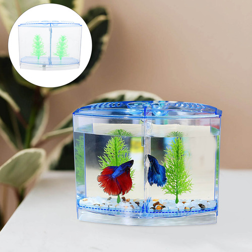 Decoración Única Para Tanque De Cultivo De Camarones