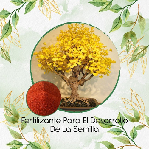 Fertilizante Para El Desarrollo De Bonsái Guayacán Amarillo