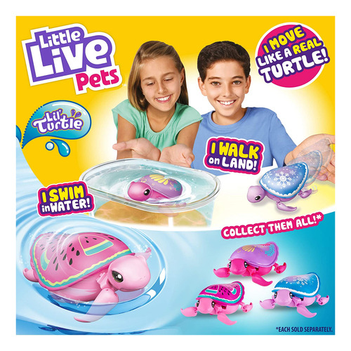 26204 Los Estilos De Tortuga Pueden Variar