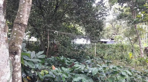 Imagen 3 de 7 de Casa De 26mts 22mts Ubicada Antes De Llegar A La Dalia