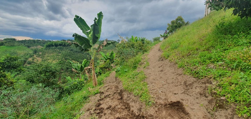 Imagen 16 de 20 de Hermosa Finca Cerca A Pereira