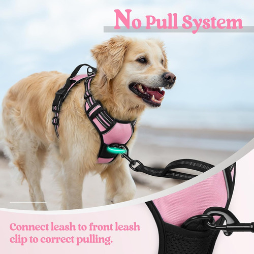 Arnés Para Perro Rabbitgoo No Tirar, Ajustable, Talla L