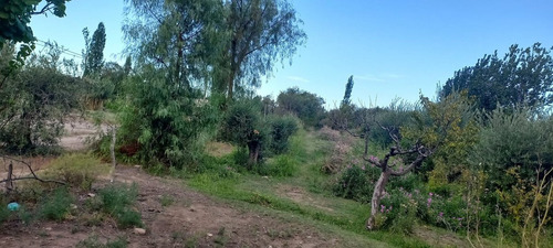 Finca 6200 M2 En Venta En Barrancas Maipu