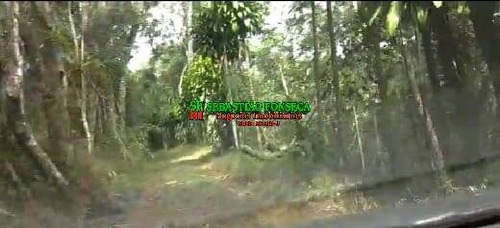 Imagem 3 de 15 de Chácara 1.800 M² Em Santo Antônio Do Pinhal - 1828