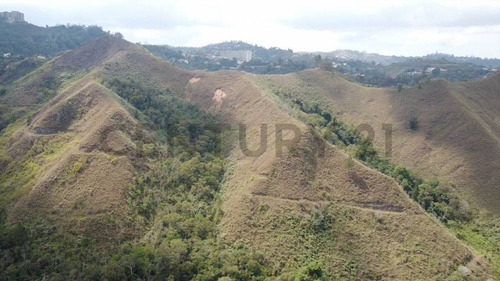 Terreno De 15 Has En El Amarillo San Antonio De Los Altos