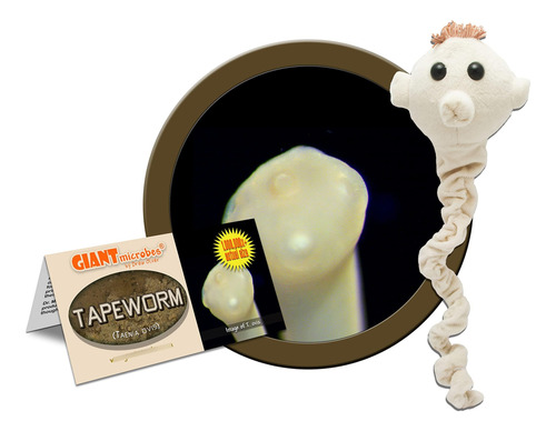 Giant Microbes Peluche Tenia Taenia Ovis Enfermedades Color