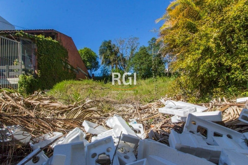 Terreno Em Chácara Das Pedras - El56355929