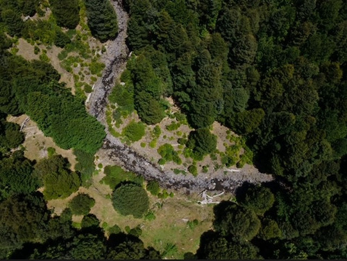 Vendo Parcela 5000m2 En Rinconada De Pucon Curarrehue