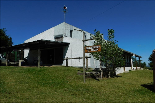 Campo 95 Há, Parte Contado Y El Resto Financiado