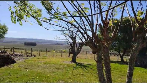 Campo De 397 Has - Maldonado, Aiguá